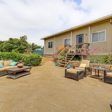 Вилла Escondido Vineyard Estate Walk To Wineries! Экстерьер фото