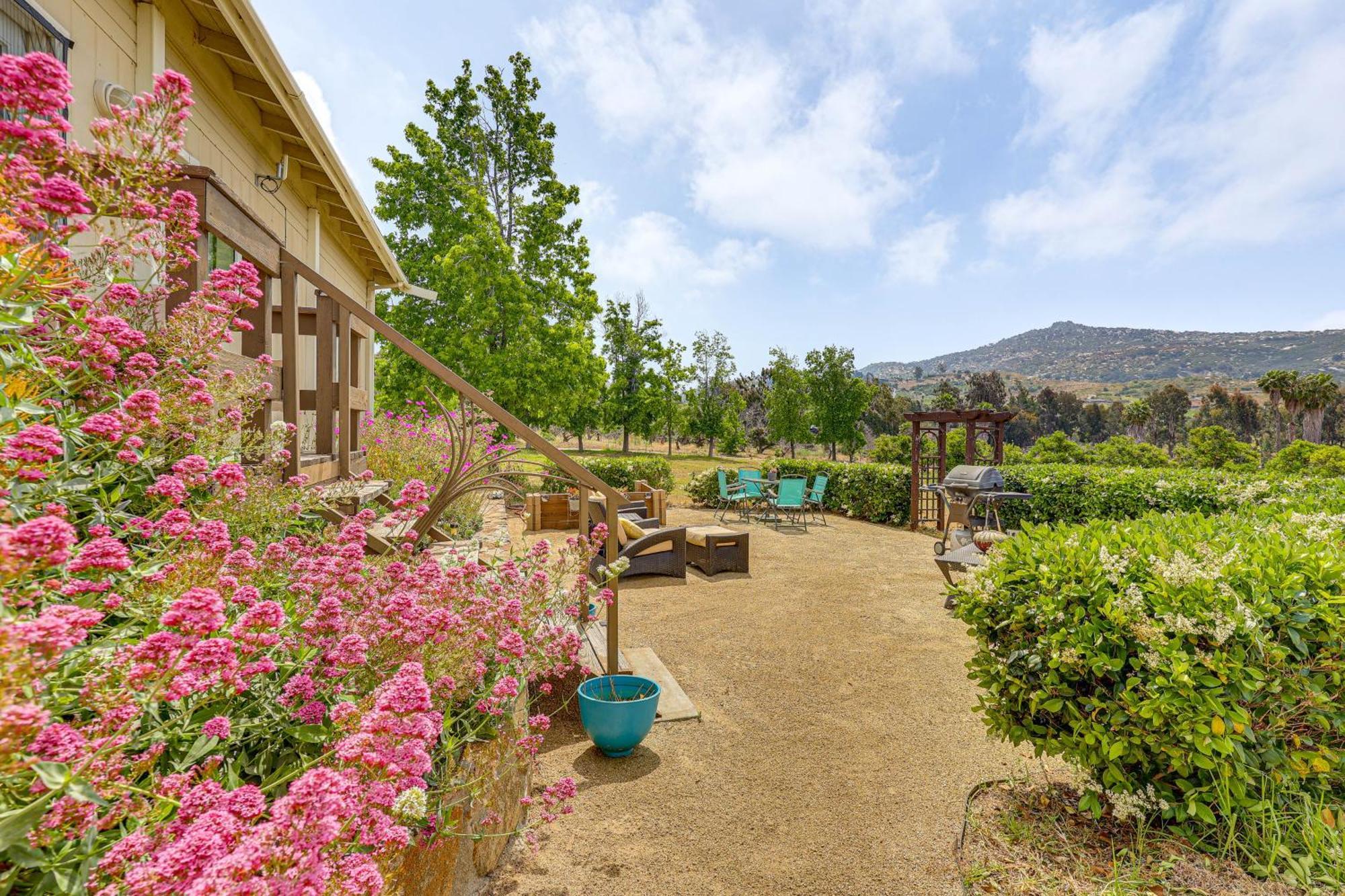 Вилла Escondido Vineyard Estate Walk To Wineries! Экстерьер фото