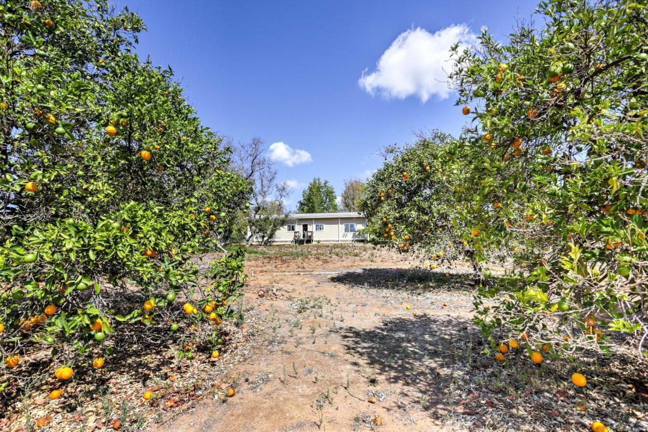 Вилла Escondido Vineyard Estate Walk To Wineries! Экстерьер фото